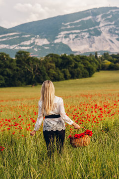 Young blond woman walking away in poppy field, holding basket with red flowers, back view, Saleve mountain on background. Image taken in Geneva, Switzerland