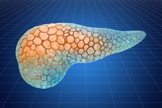Visualization 3d cad model of human pancreas, 3D rendering