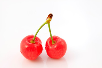 Mature large American cherry on a white background