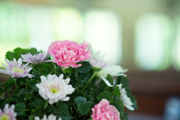 Flowers decorated beautifully in church - images