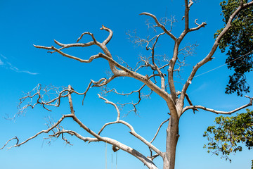 Hermosa vista playa blanca Baru Colombia