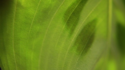 abstraction