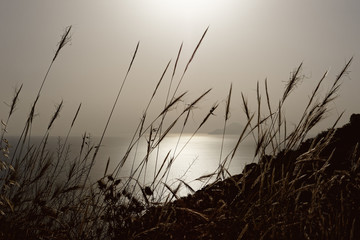 Moody sunset behind soft grasses, wide view over the sea to an island - Location: Location: Italy, Aeolian Islands