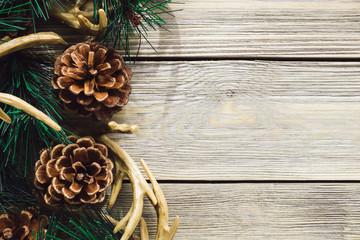 Woodland Setting with Space for Copy