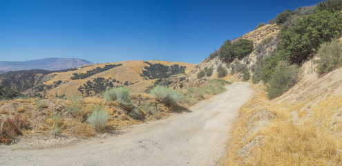 Wide View of California Mountain Road