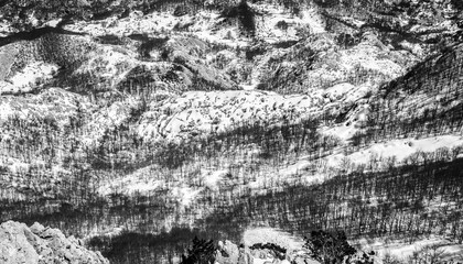 Abstract winter landscape in black and white