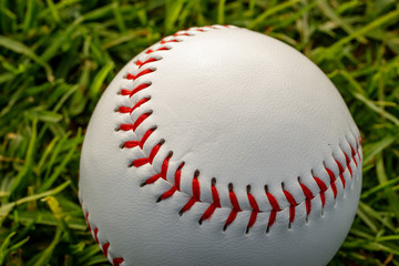 Baseball on grass
