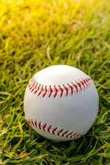 Baseball on grass