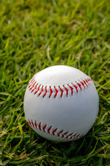 Baseball on grass