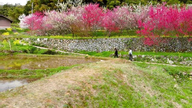 ドローン空撮 天国に一番近い里 横移動
