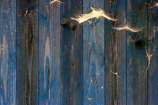 alte grunge blaue verwitterte Bretterwand mit Holzmaserung und Spinnennetzen