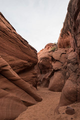 Scenic beauty of the famous Antelope Canyon in Arizona. It is a slot canyon on the Navajo land. It is one of the most adventurous places in Arizona and is very famous among tourists.