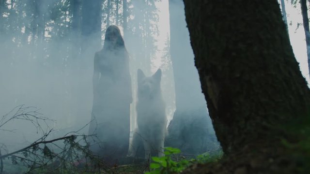 Woman and dog in the woods
