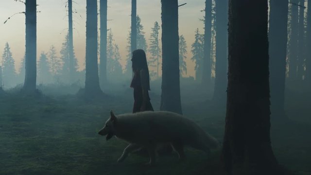 Girl walking with a dog in the evening