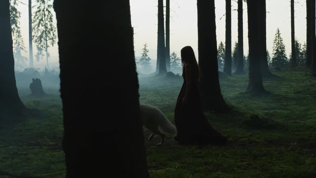 Dog and a girl walking in a forest