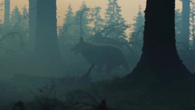Dog running in a misty forest