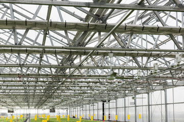 View of the hydroponics style of cultivation is seen at a farm. It is a subset of hydroculture where plants are grown using mineral solvent instead of soil. Cabbage and lettuce plants are seen being
