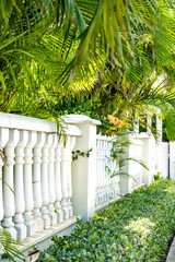 White marble column, columns wall, fence, wall in residential area with palm trees, bushes leaves,...