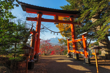 Fototapeta na wymiar Chureito Pagoda in Fujiyoshida, Japan