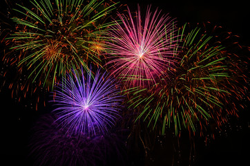 Colorful fireworks celebration and the night sky background.