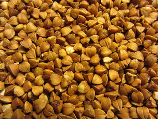 background of sunflower seeds