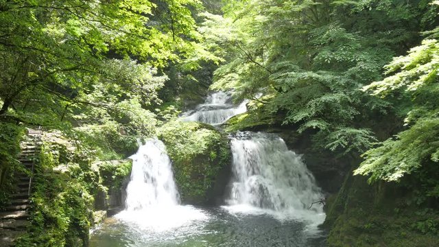 赤目四十八滝　2018年　初夏