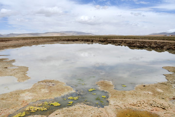 China, Tibet. The shore of the lake Ngangtse (Nganga Tso (4690 m)) in June