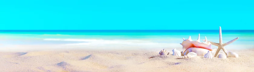 Fototapete Türkis Muscheln am Sandstrand / Küste, Strandurlaub Urlaub Hintergrund  © Philip Steury