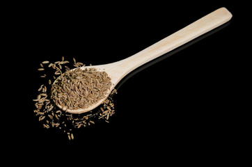 spices of the world in three Japanese spoons and of wood with cumin, red pepper, cumin seeds, paprika, curcuma, curry,