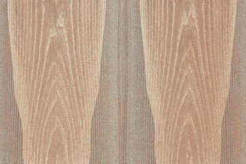 light brown ash-tree timber tree wood structure texture background backdrop
