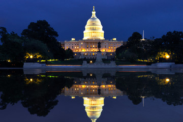 The US Capitol in Washington DC Landscape at night