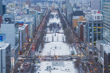 Odori park in winter, Sapporo, Japan