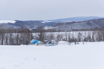 Biei in winter, Hokkaido, Japan
