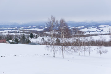 Biei in winter, Hokkaido, Japan