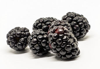 six berries large fresh blackberries on a white background