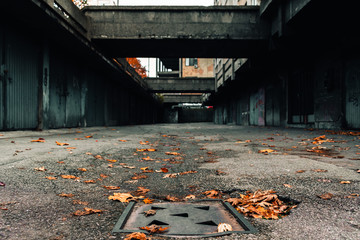 autumn leaves in a dark alley