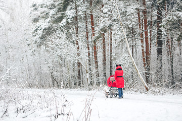 Woman with baby stroller walks in the forest