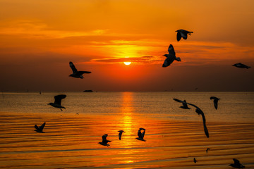 silhouette of surfer on beach at sunset