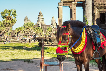 Naklejka premium horse in angkor wat temples