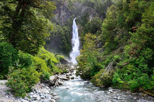Waterfall between dense rainforest vegetation, Valle Exploradores, near Puerto Rio Tranquilo, Region de Aysen, Chile, South America