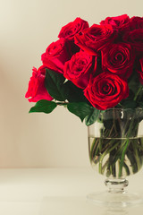 Bouquet of beautiful red roses on white isolated background in glass vase for Valentines day 14 February or International women day 8 March, love romance wedding anniversary celebration, copy space 