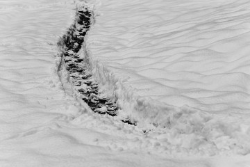 footprints in the snow