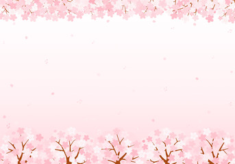 Plakat 桜の音符　背景　イラスト