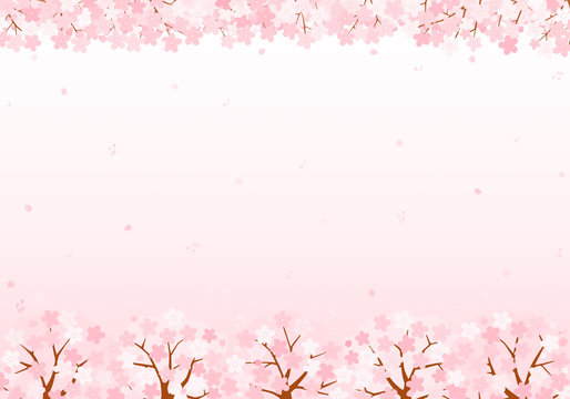 桜の音符　背景　イラスト