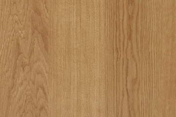 brown oak tree wood wallpaper structure texture background