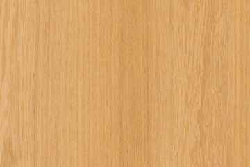 natural light brown oak tree timber wood structure texture backdrop surface