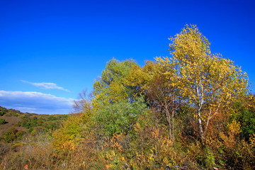 mountain natural scenery