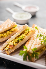 Paneer bhurji sandwich is a tasty paneer based dish made with cottage cheese.served with fresh tomato ketchup and green mint chutney. selective focus