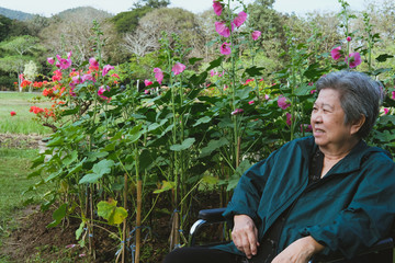 Fototapeta na wymiar elder woman in wheelchair resting in garden. elderly female relaxing in park. senior leisure lifestyle