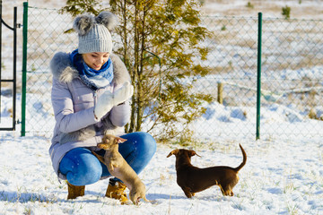 Woman playing with dogs during winter